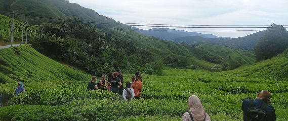 Trip to Cameron Highlands from Kuala Lumpur: A Scenic Hill Station Adventure