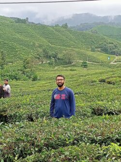 Cameron Highland, Malaysia